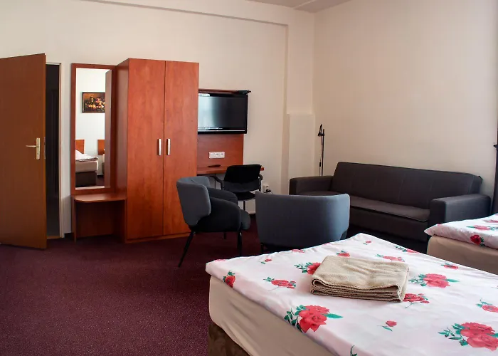 Alfa ホテル Třebíč