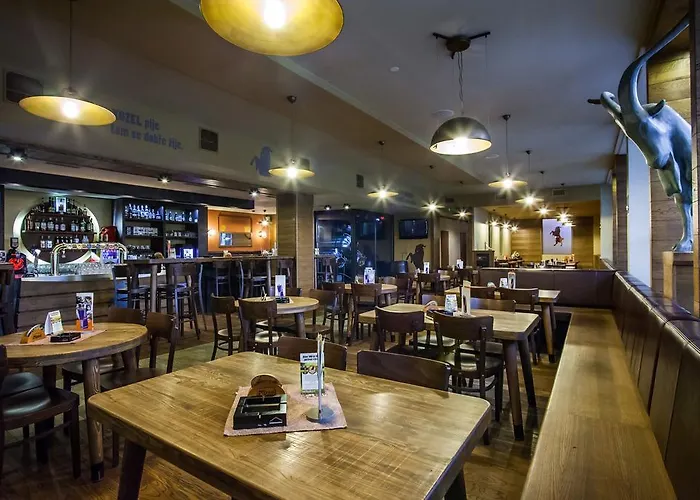 酒店 阿尔法酒店 3*